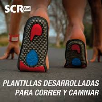 scr plant